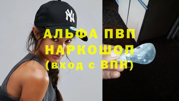 твердый Надым