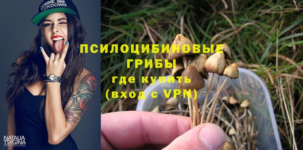 а пвп мука Наволоки