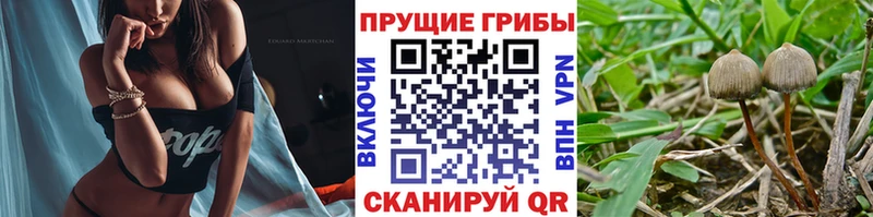 Галлюциногенные грибы мицелий Белгород