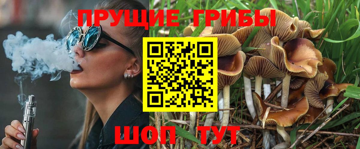 наркота  Псилоцибиновые грибы MAGIC MUSHROOMS  Белгород  Галлюциногенные грибы GOLDEN TEACHER 