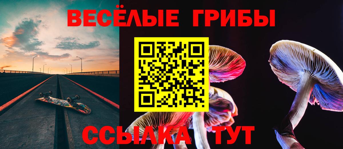 Псилоцибиновые грибы мухоморы Белгород